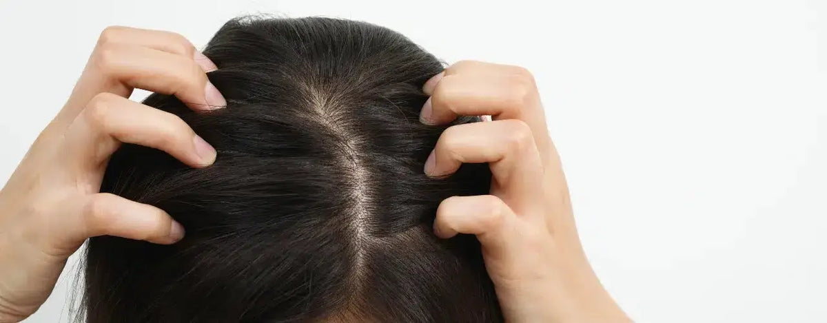 Tips for Choosing the Right Shampoo for Your Hair Type