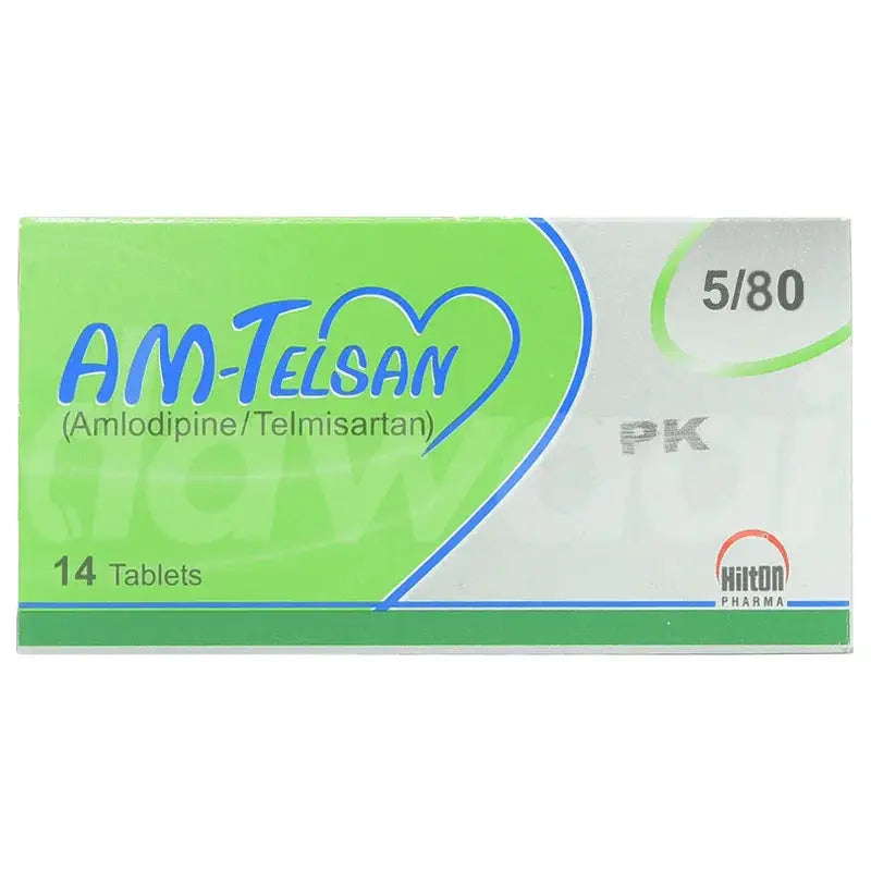 Am Telsan 5/80mg Tab