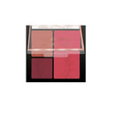 Color Institute 4 Color Blusher Makeup Kit photo 4