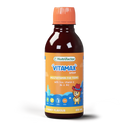 Vitamax Syrup for Teen Energy, Growth & Brain Health photo 1