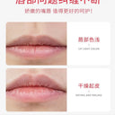 BIOAQUA Moisturizing Fresh Lemon Lip Balm - 4.5g photo 3