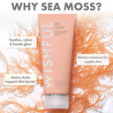 Wishful Get Clean 2% PHA & Sea Moss Gentle Foaming Cleanser 50ml photo 4
