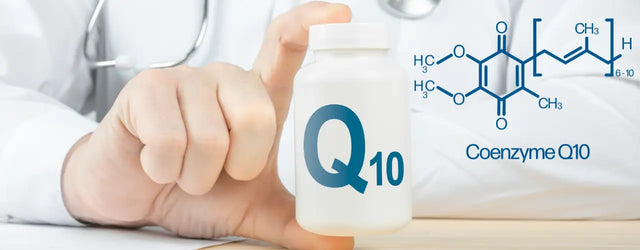 What is Q10 Coenzyme and Its Role in Skincare
