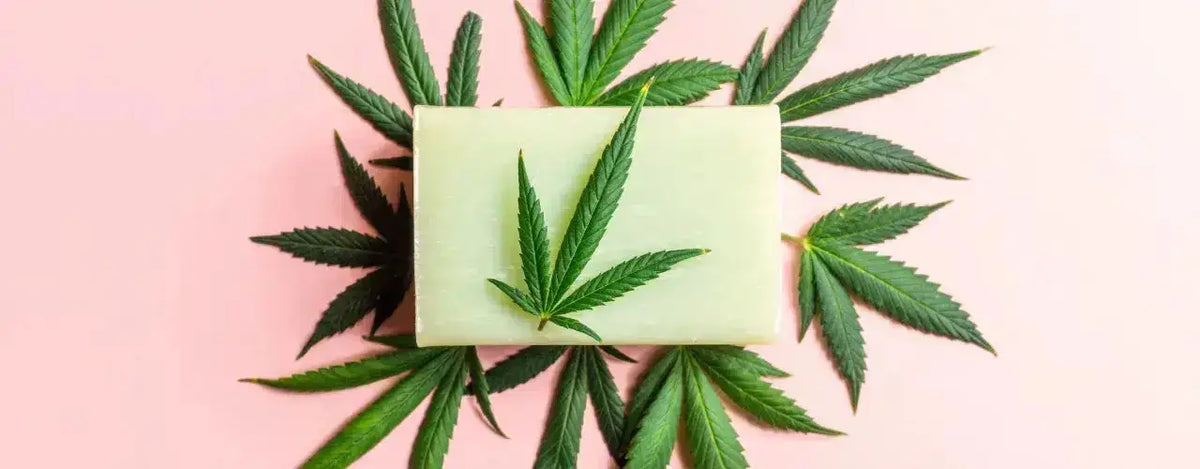 Buy Glutox Medicated Bar 90gm for Rejuvenating Skincare