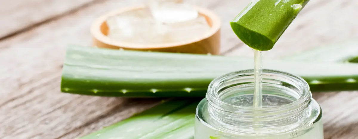 Coolant Aloe Vera Gel: Your Natural Companion for Soothing Skincare