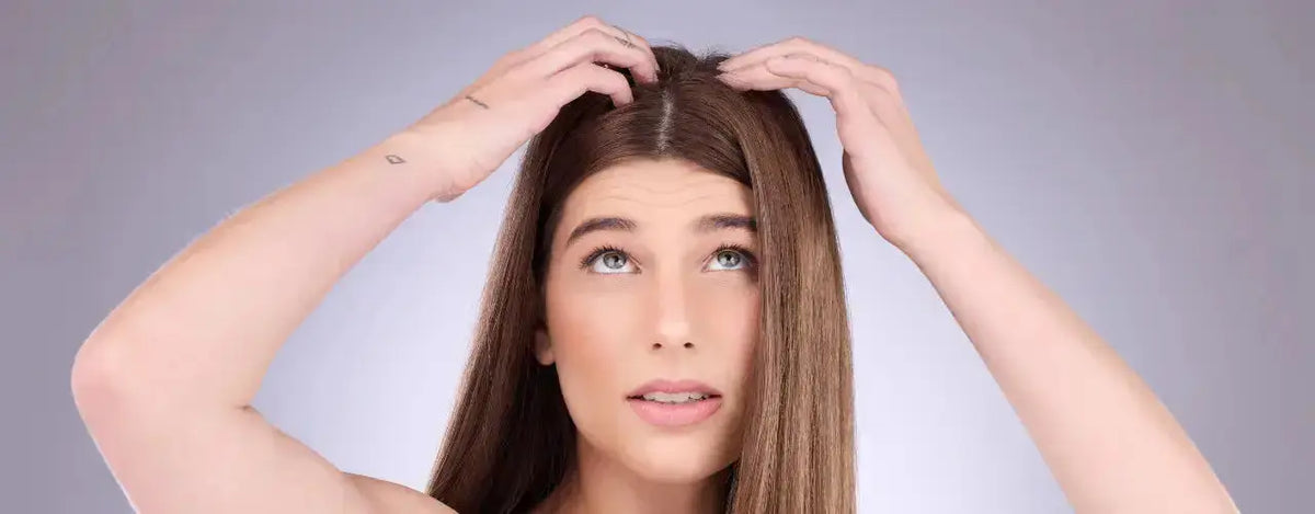 De-Lice: Get Back to Life, Lice Free