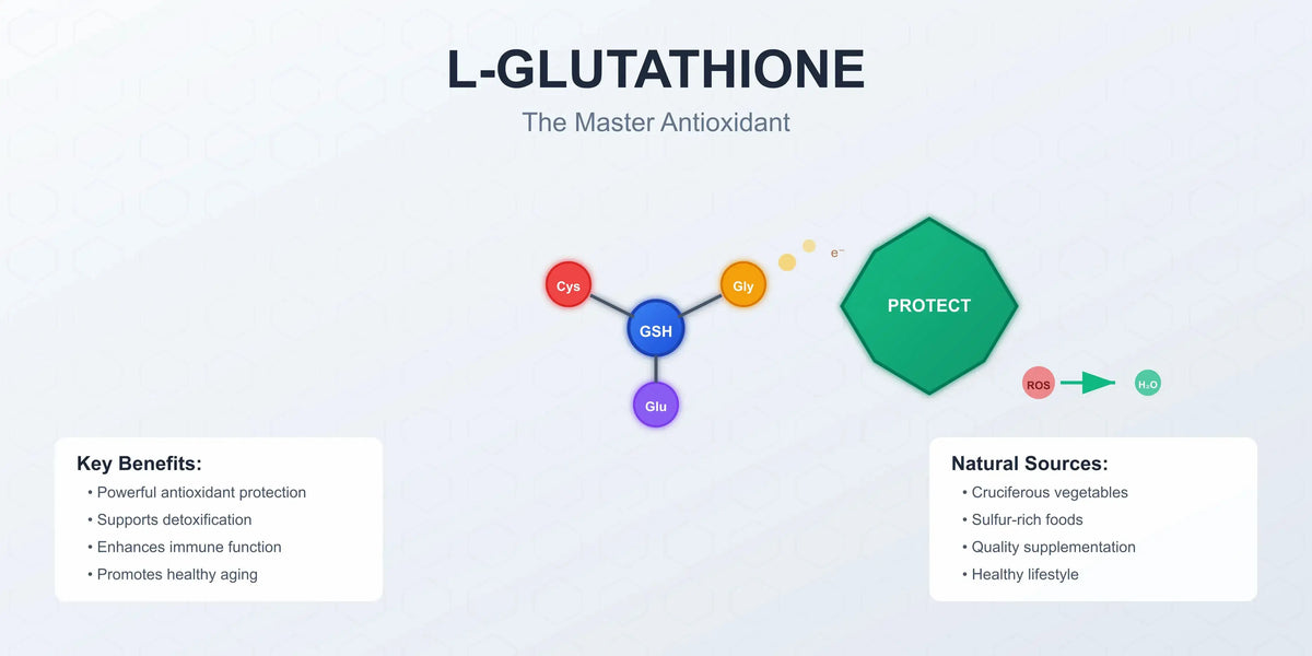 The Complete Guide to L-Glutathione: Your Body's Master Antioxidant
