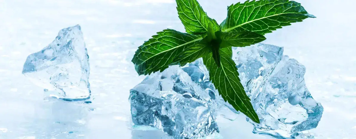 WiCool Lotion: Soothe Itching and Prickly Heat with Camphor, Phenol, and Menthol