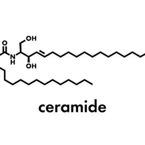 Ceramides