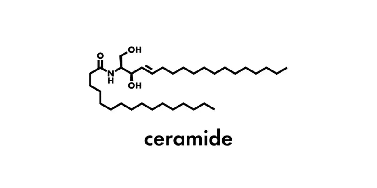 Ceramides Derma.pk