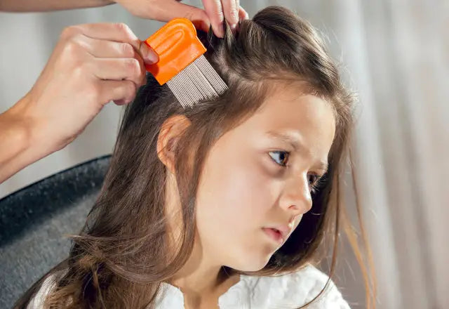 Anti lice shampoo 