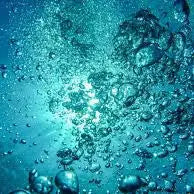 Aquatic & Marine Scents