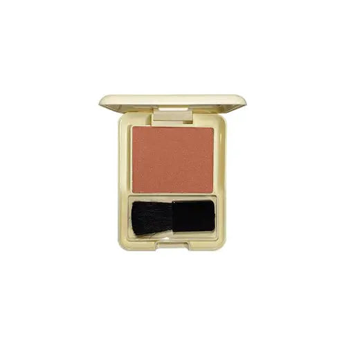 Glamorous Face Professional Matte Blushon Single Shade 01