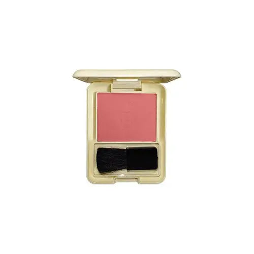 Glamorous Face Professional Matte Blushon Single Shade 10