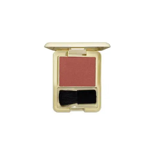 Glamorous Face Professional Matte Blushon Single Shade 13