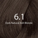 Eazicolor 6.1 Dark Natural Ash Blonde Hair Colour (60ml) photo 3
