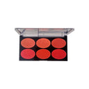 Aqua Color Line 6 Color Blush Palette photo 3