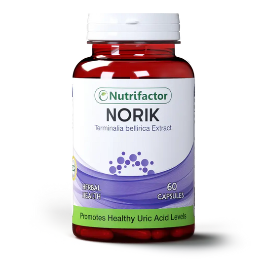 Norik for Uric Acid Kidney & Gout Support – Available in Pakistan