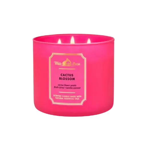 Bath & Body Works Cactus Blossom 3-Wick Candle