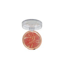 Aqua Color Line Terracotta Blusher & Highlighter 2-in-1 photo 3