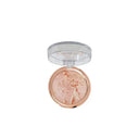 Aqua Color Line Terracotta Blusher & Highlighter 2-in-1 photo 9