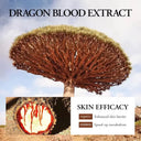 SADOER Dragon Blood Anti-Ageing Facial Sheet Mask 25g photo 2