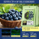 BIOAQUA Green Tea & Blueberry Hydrating Rejuvenating Facial Sheet Mask 25ml photo 3