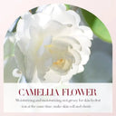 BIOAQUA Camellias Anti-Oxidation Nourishing Face Serum 30ml photo 6