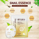 BIOAQUA Snail Essence Moisturizing & Oil Control Face Sheet Mask photo 4