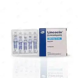 Lincomycin Injection 600mg/2ml ��� Severe Bacterial Infection Treatment 5's