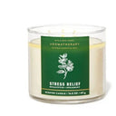 BBW Aromatherapy Eucalyptus Spearmint 3-Wick Candle photo 1