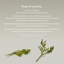 Abib Jericho Rose Bifida Serum Firming Drop photo 5