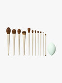 Morphe X Ariel Signature Look 12-Piece Face & Eye Brush Set photo 3