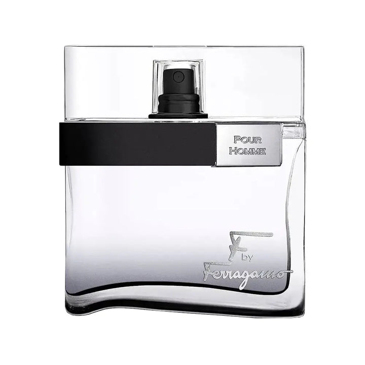 Salvatore Ferragamo F Silver