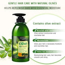 Bioaqua Pack of 2 Olive Shampoo & Hair Mask Set - Anti-Dandruff & Repairing Duo - 400ml + 500g photo 3